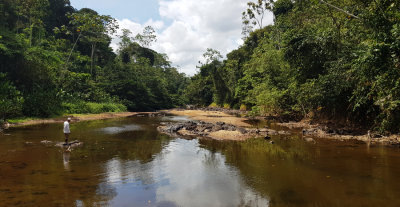 Kabalebo
