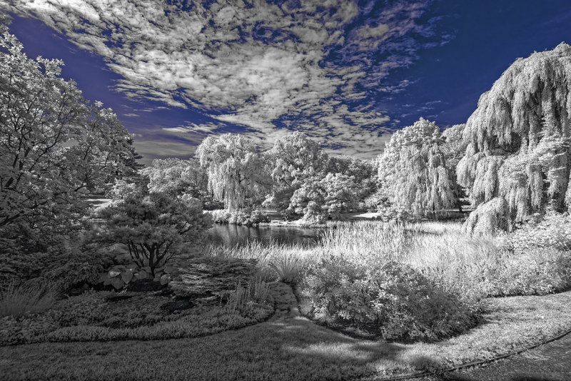 _DSC9776denoise.jpg