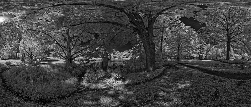 _DSC6871 Panorama.jpg