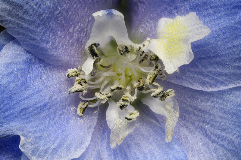 2020-05-07-12.08.18 ZS PMax.jpg