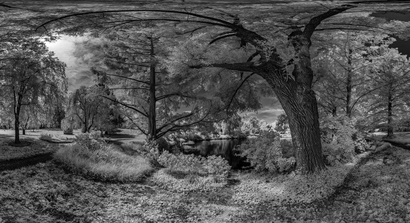 _DSC9879 Panorama_crop.jpg
