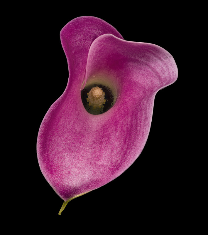 2021-08-14-16.15.15 ZS PMax_crop_rotate.jpg