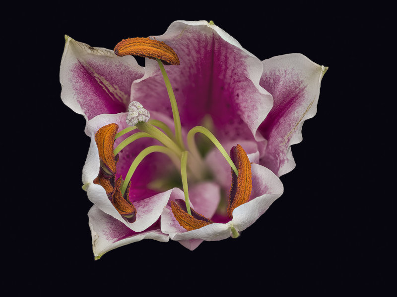 2022-02-22-14.24.18 ZS PMax.jpg