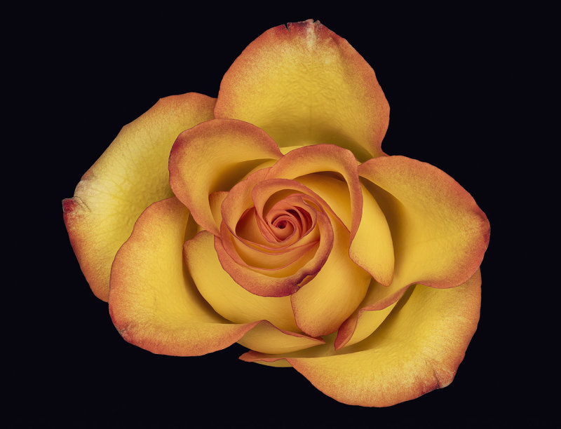 2022-03-06-08.49.02 ZS PMax_crop.jpg