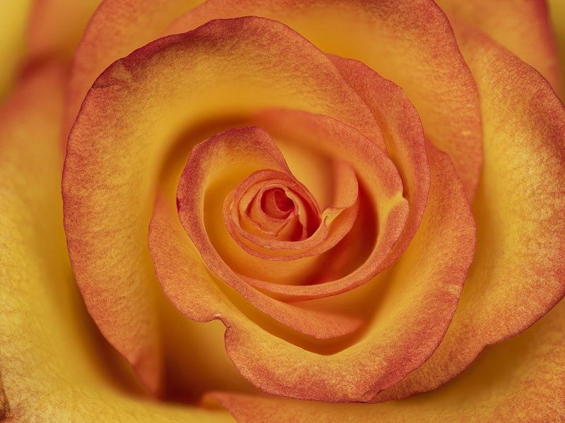 2022-03-06-14.08.15 ZS PMax.jpg