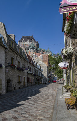 _DSC3161.jpg