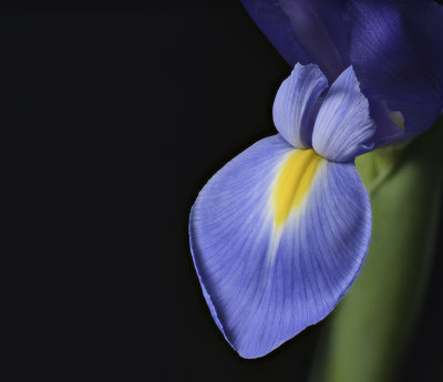 2020-03-20-13.32.28 ZS PMax.jpg