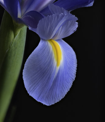 2020-03-21-11.34.29 ZS PMax.jpg