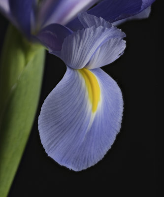 2020-03-21-13.26.07 ZS PMax.jpg