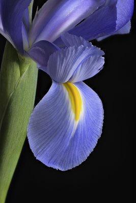 2020-03-21-16.07.07 ZS PMax.jpg