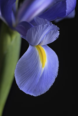 2020-03-21-17.22.00 ZS PMax.jpg