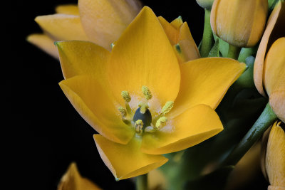 2020-03-27-12.08.09 ZS PMax.jpg