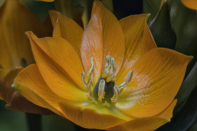 2020-04-04-17.10.06 ZS PMax.jpg