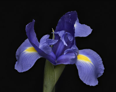 2020-05-09-16.02.54 ZS PMax.jpg