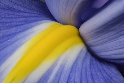 2020-05-22-12.01.28 ZS PMax.jpg