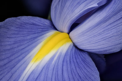 2020-05-22-12.35.38 ZS PMax.jpg