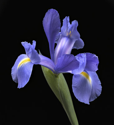 2020-05-22-14.33.39 ZS PMax.jpg
