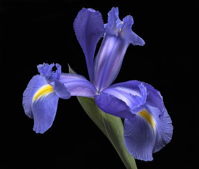 2020-05-22-15.30.52 ZS PMax.jpg