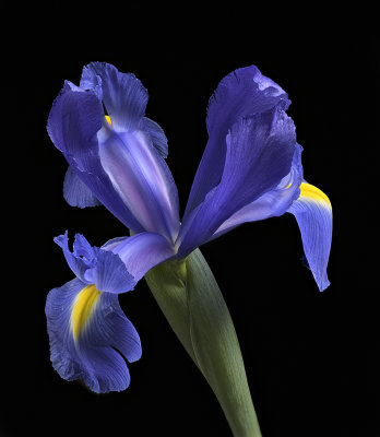 2020-05-24-15.02.23 ZS PMax.jpg