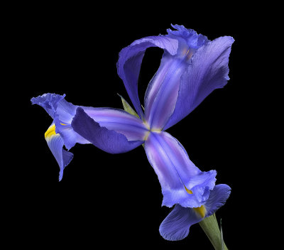 2020-05-25-16.54.27 ZS PMax.jpg