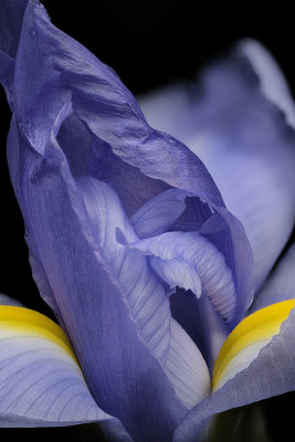 2020-05-30-15.36.12 ZS PMax.jpg