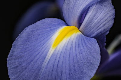 2020-06-10-09.40.36 ZS PMax.jpg