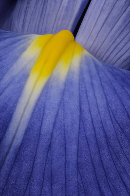 2020-06-20-08.22.52 ZS PMax.jpg