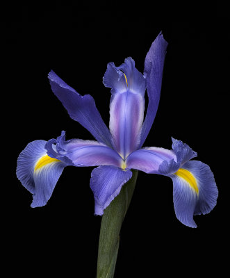 2020-06-20-17.16.10 ZS PMax.jpg