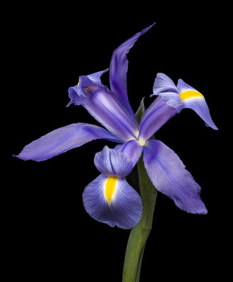 2020-08-15-14.59.03 ZS PMax.jpg