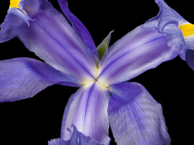 2020-08-16-16.16.59 ZS PMax.jpg