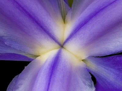 2020-08-16-16.54.18 ZS PMax.jpg