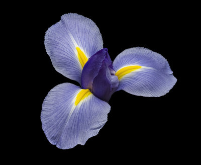 2020-09-26-18.01.27 ZS PMax.jpg