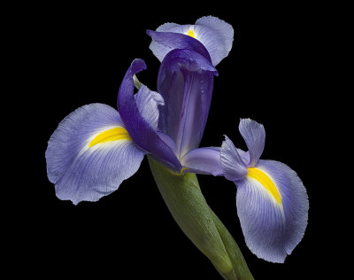2020-09-27-09.30.51 ZS PMax.jpg