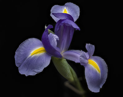 2020-09-27-09.39.47 ZS PMax.jpg