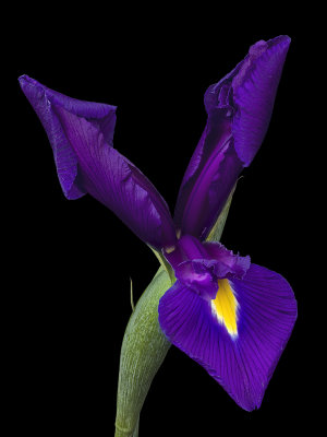 2020-10-02-15.21.50 ZS PMax.jpg