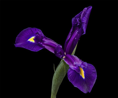 2020-10-02-17.15.15 ZS PMax.jpg