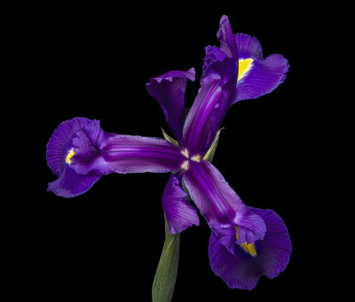 2020-10-03-13.46.30 ZS PMax.jpg