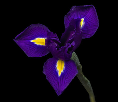 2020-10-03-11.08.53 ZS PMax.jpg