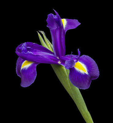 2020-10-21-18.39.06 ZS PMax.jpg