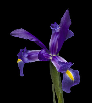 2020-10-29-17.04.30 ZS PMax.jpg