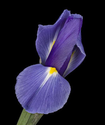 2020-11-14-13.02.13 ZS PMax.jpg