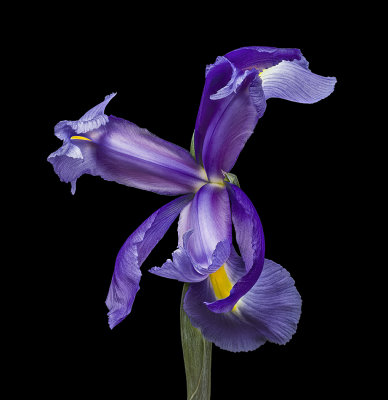 2020-11-15-12.20.46 ZS PMax.jpg
