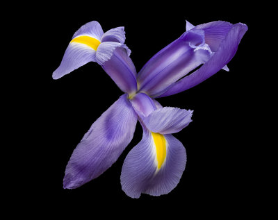 2021-05-12-12.21.13 ZS PMax.jpg