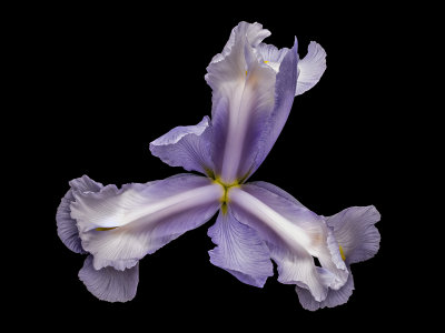 2021-06-26-09.08.58 ZS PMax.jpg