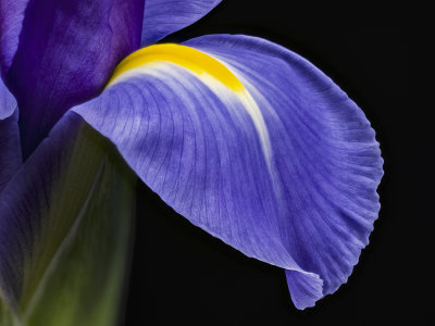 2021-08-03-13.14.57 ZS PMax.jpg