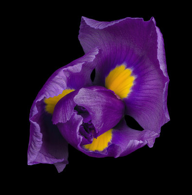 2021-09-04-16.51.04 ZS PMax.jpg