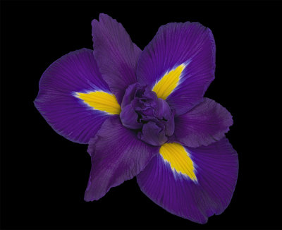 2021-09-05-10.13.56 ZS PMax.jpg