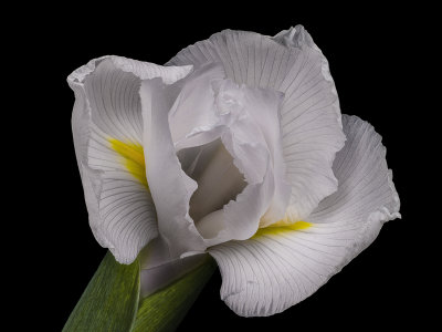 2021-09-05-12.35.14 ZS PMax.jpg