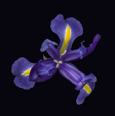 2022-01-14-10.50.09 ZS PMax_crop.jpg