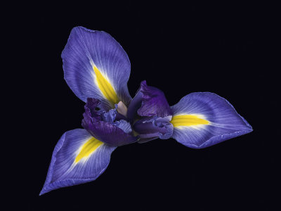 2022-01-13-20.02.03 ZS PMax.jpg